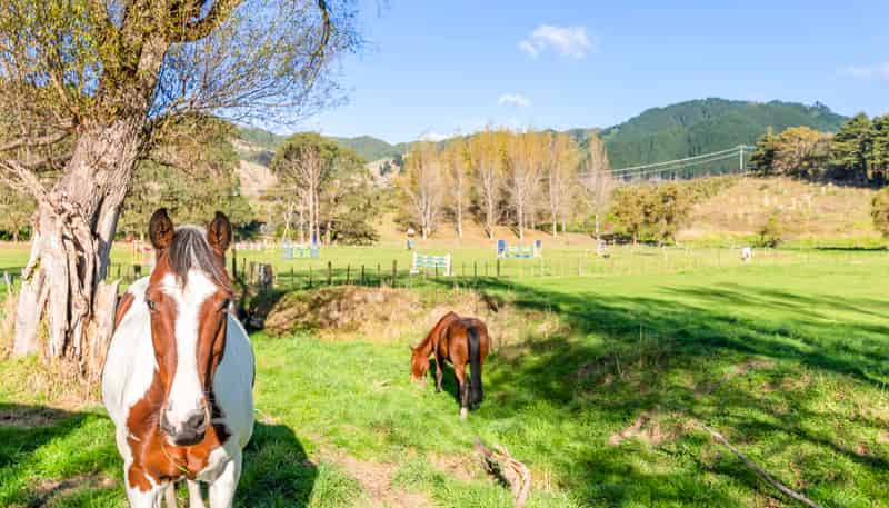 84 Derham Road, Te Horo