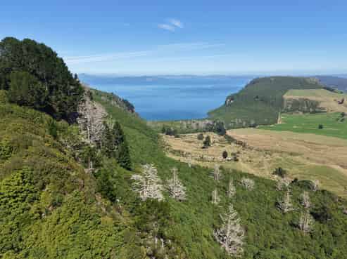 146 Highland Drive, Acacia Bay