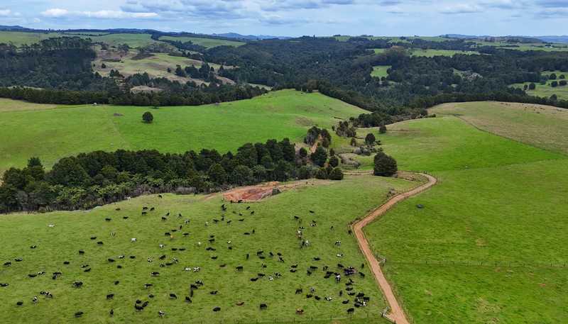 518 Mangakaretu Road, Kerikeri