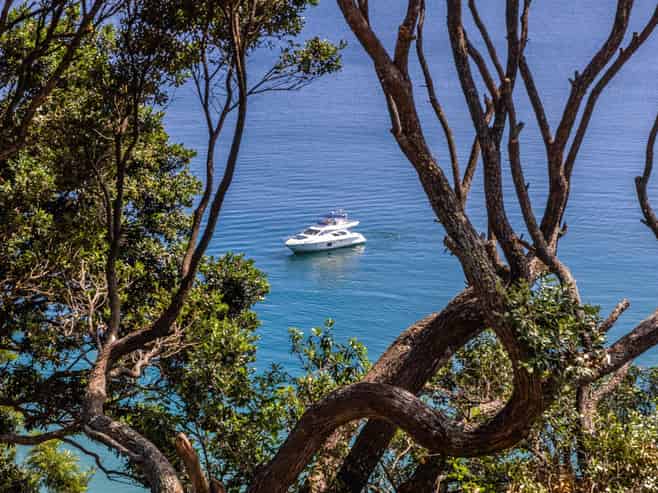 9 Pah Road, Onetangi