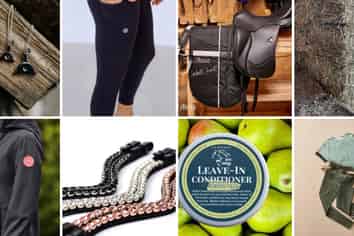 Premium Equestrian Business | $400K+ EBPITDA