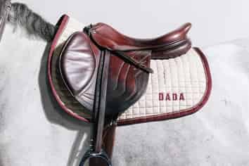 Premium Equestrian Business | $400K+ EBPITDA