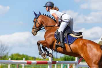 Premium Equestrian Business | $400K+ EBPITDA