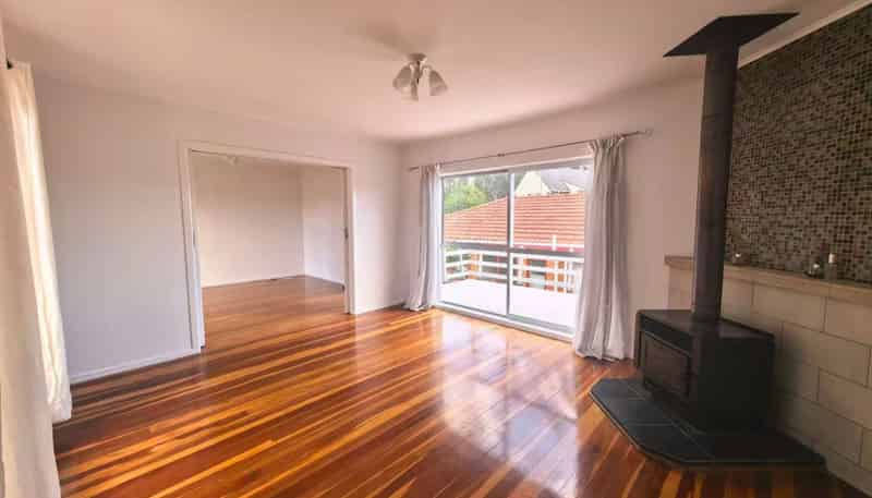 20 Linden Street, Mount Roskill