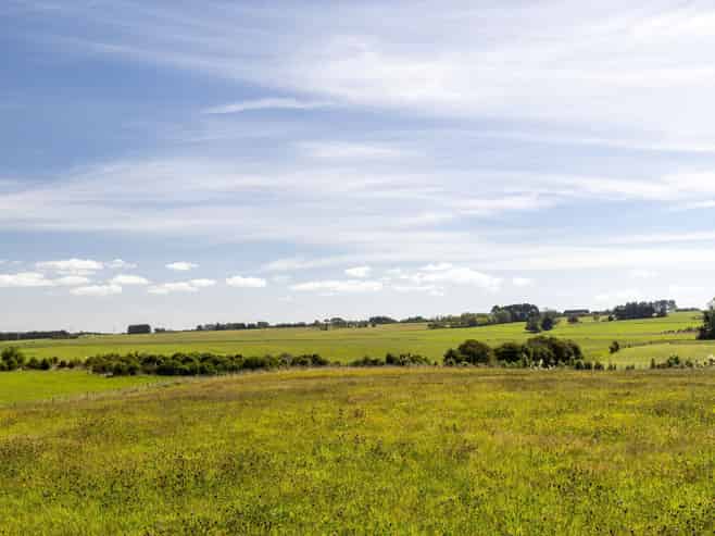 Lot 11 Robbie Lane, Ashhurst