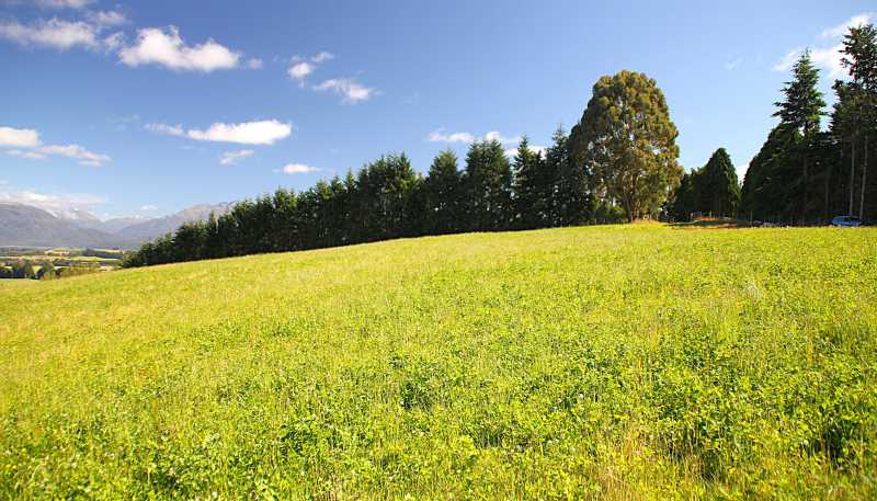 138 Ridgedale Road, Te Anau