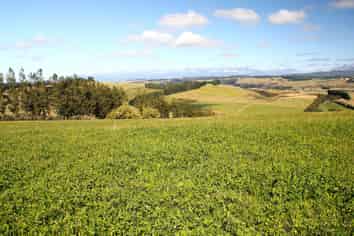 138 Ridgedale Road, Te Anau