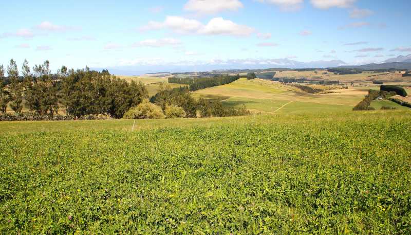 138 Ridgedale Road, Te Anau
