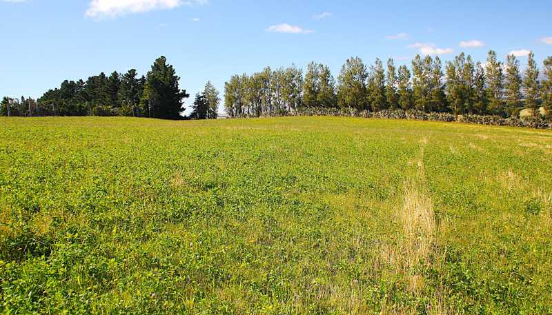 138 Ridgedale Road, Te Anau