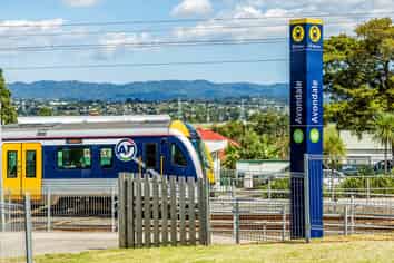 Lot 14/11&15 St Jude Street, Avondale