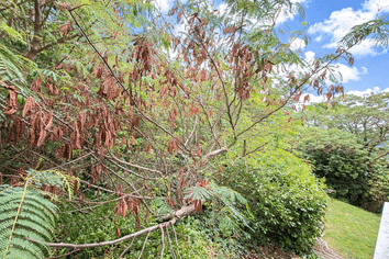 85J Seatoun Heights Road, Seatoun