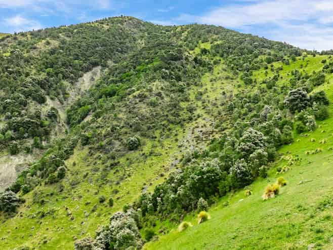 1179 Waiau-Toa Road, Kaikoura