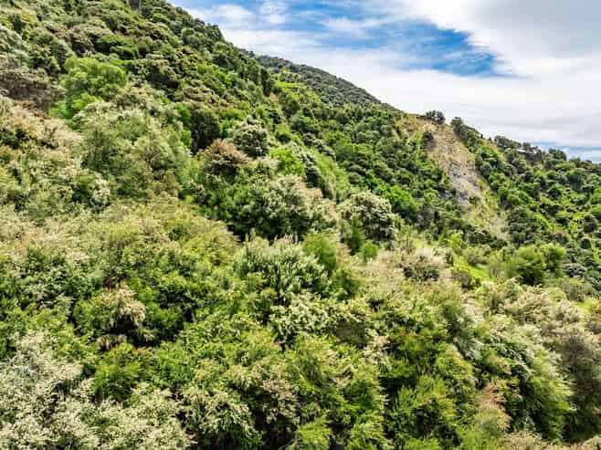 1179 Waiau-Toa Road, Kaikoura