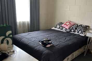 55 Wither Road, Witherlea