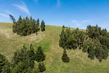 38 Valley Road, Greta Valley