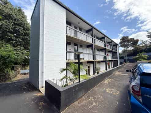1/49 Esplanade Road, Mount Eden