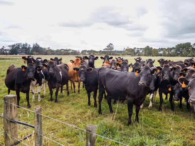 1850 Wellington Road, Marton