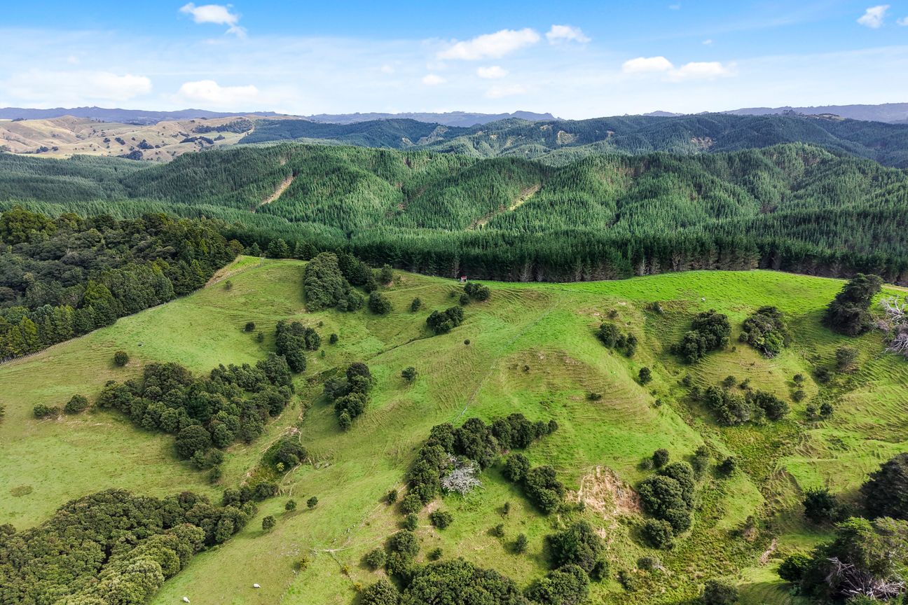 Own Your Puhoi Paradise - 2 Sections - Vista 3
