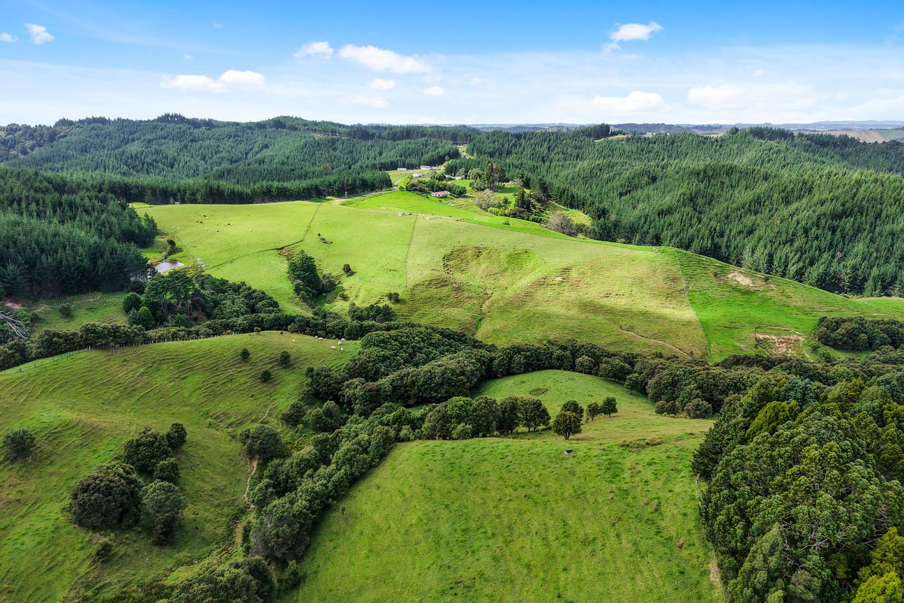 Own Your Puhoi Paradise - 2 Sections - Bild 5