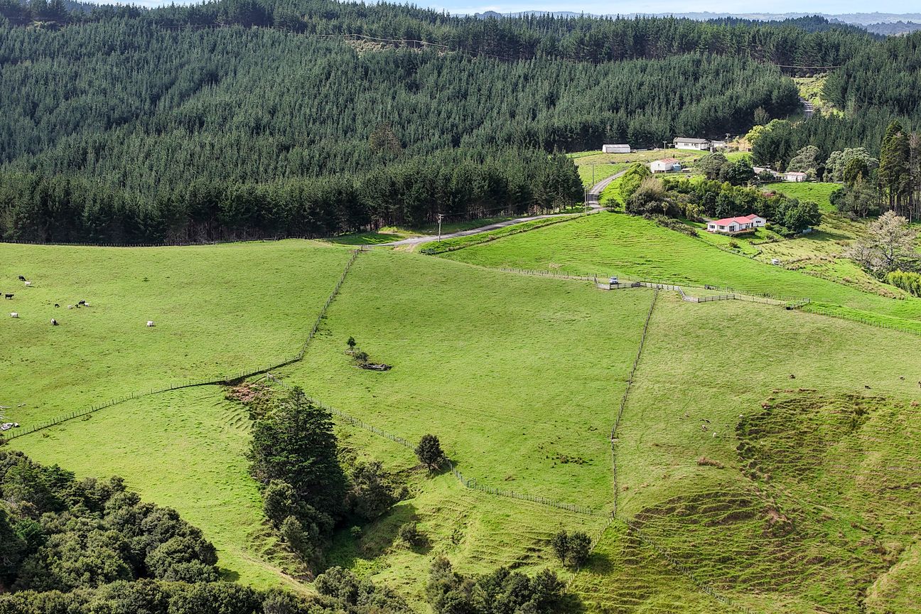 Own Your Puhoi Paradise - 2 Sections - Bild 6