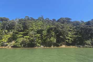 Lot 135/DP4961 North Cove, Kawau Island