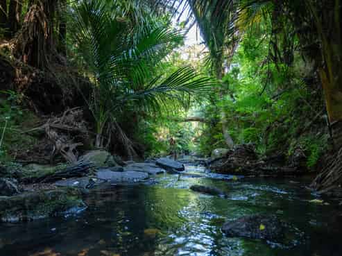 104 Taiwawe Lane, Hot Water Beach