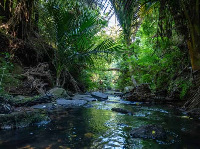 104 Taiwawe Lane, Hot Water Beach