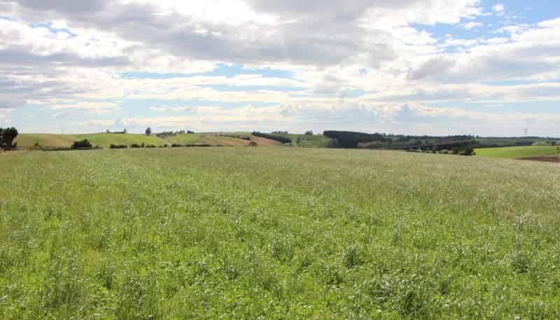  Connells Road, Levels Valley