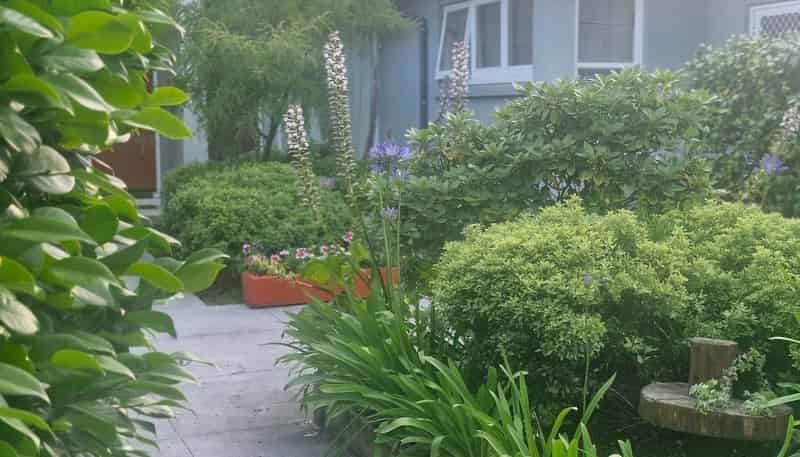 1/208 Bealey Avenue, Christchurch Central