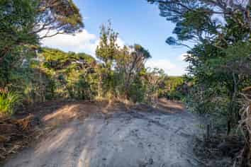 14 La Trobe Track, Karekare