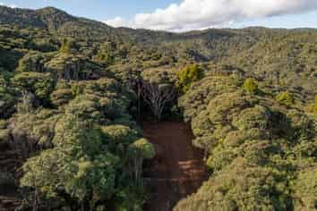 14 La Trobe Track, Karekare