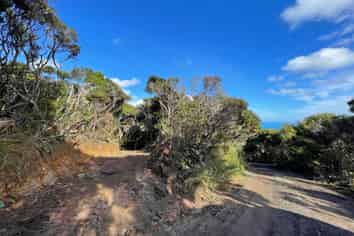 14 La Trobe Track, Karekare