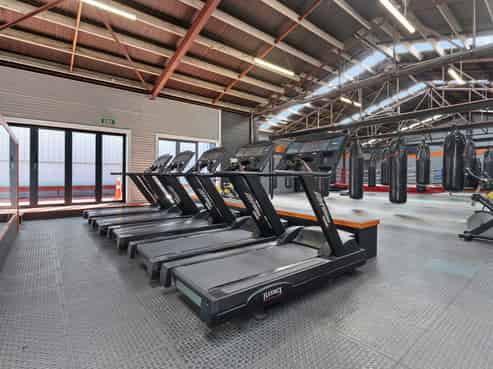 Knock-Out Investment 