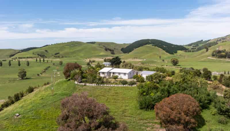 246 Seafield Road, Bay View