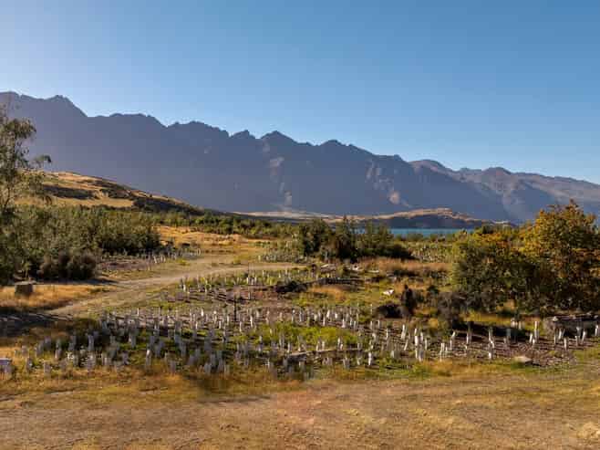 10 Cypress Court, Kelvin Heights