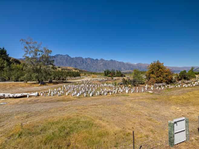 10 Cypress Court, Kelvin Heights