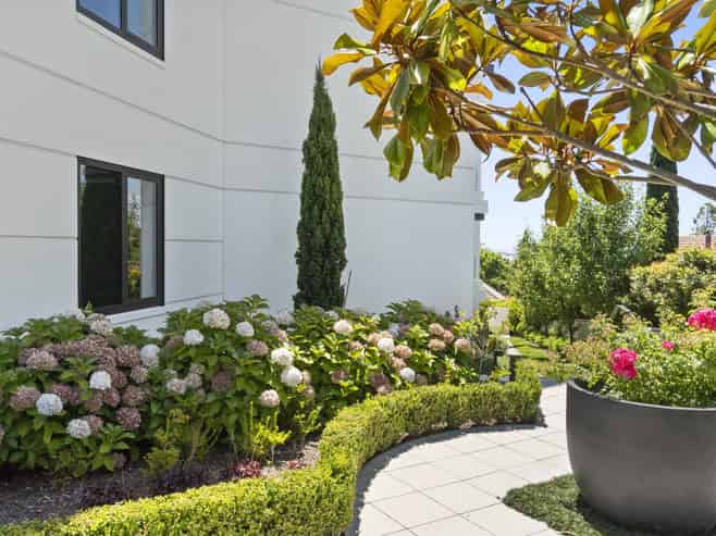 203/308 Remuera Road, Remuera