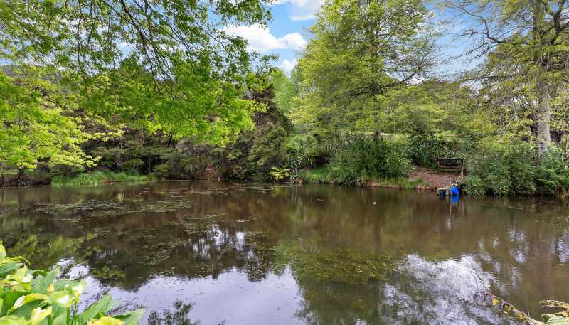 66 Head Road, Hunua