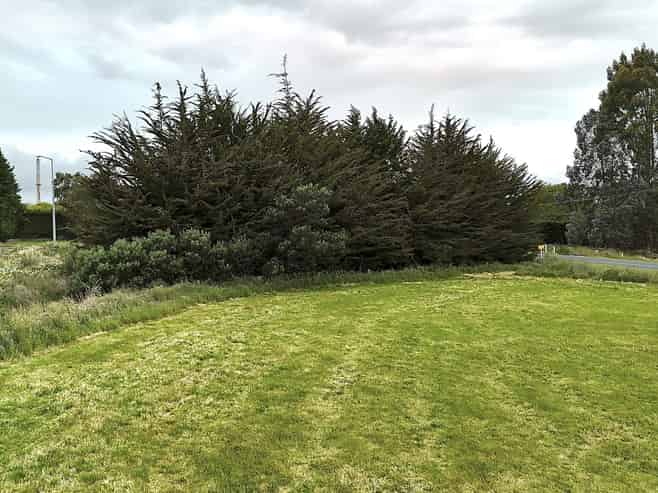 10 Rose Lane, Edendale