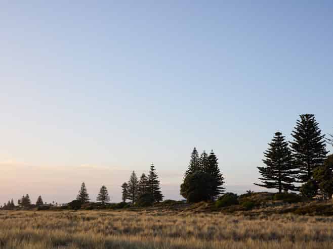 44 Te Ngaio Road, Mount Maunganui