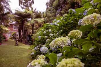 51 Wood Bay Road, Titirangi