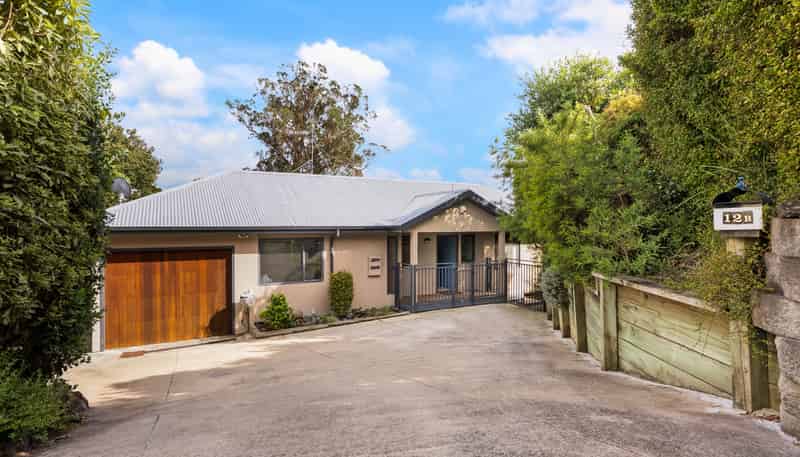 12B Cradock Street, Avondale