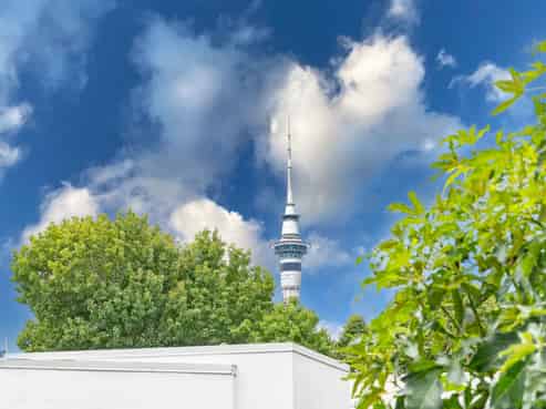 2 Telpher Street, Freemans Bay