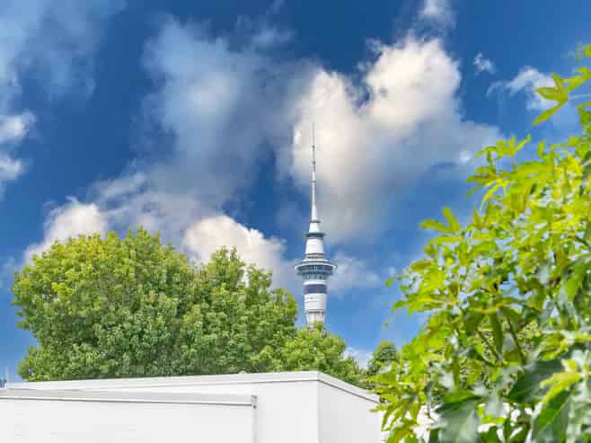 2 Telpher Street, Freemans Bay