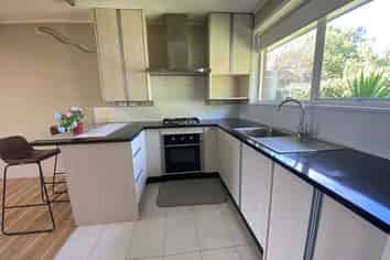 1/1 Pine Street, New Lynn