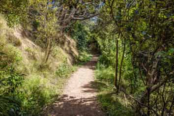 23 Te Aroha Avenue, Oneroa