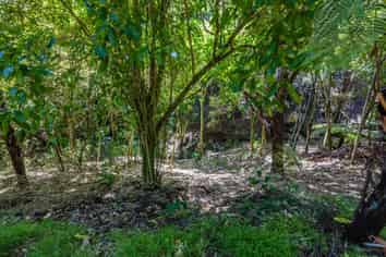 23 Te Aroha Avenue, Oneroa