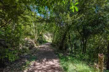 23 Te Aroha Avenue, Oneroa