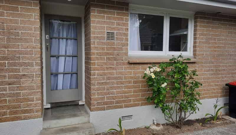 3/110 Avenal Street, Avenal