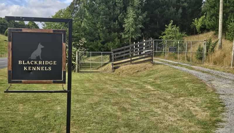 944 Mapara Road, Kinloch